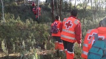 Efectivos de la Cruz Roja realizan una batida en Monesterio