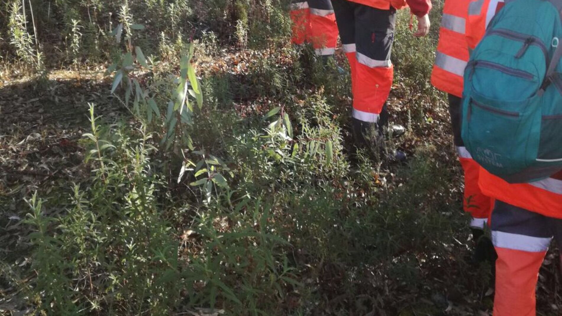 Efectivos de la Cruz Roja realizan una batida en Monesterio