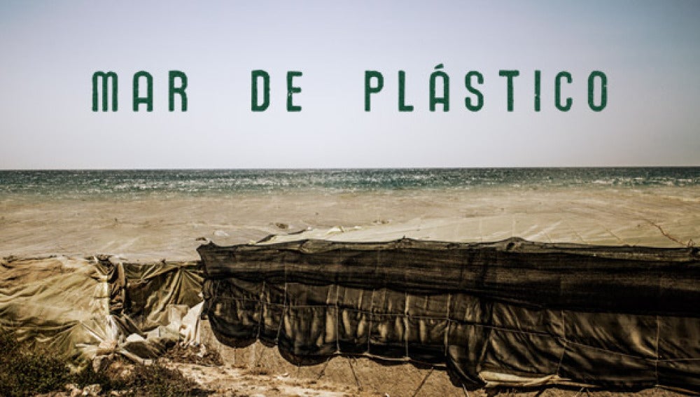 Mar de plástico
