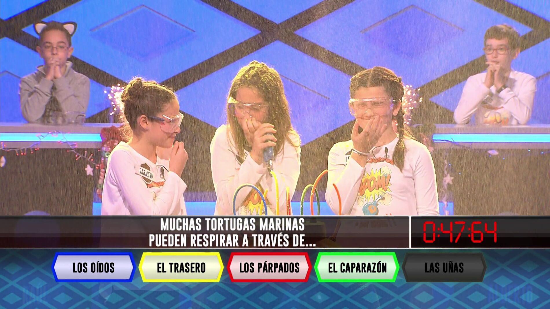 La curiosa respiraci&oacute;n de las tortugas marinas