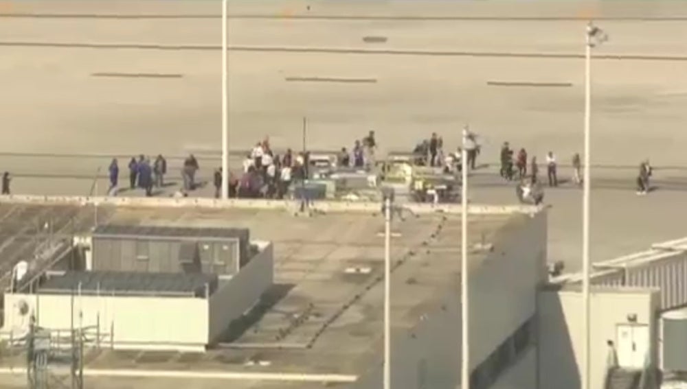 Tiroteo en en el Aeropuerto Internacional de Fort Lauderdale