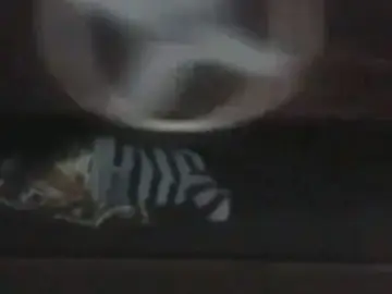 Una mujer india se salva de ser arrollada por un tren Una mujer india se salva de ser arrollada por un tren