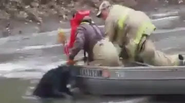 Los bomberos rescatando a Sam Los bomberos rescatando a Sam