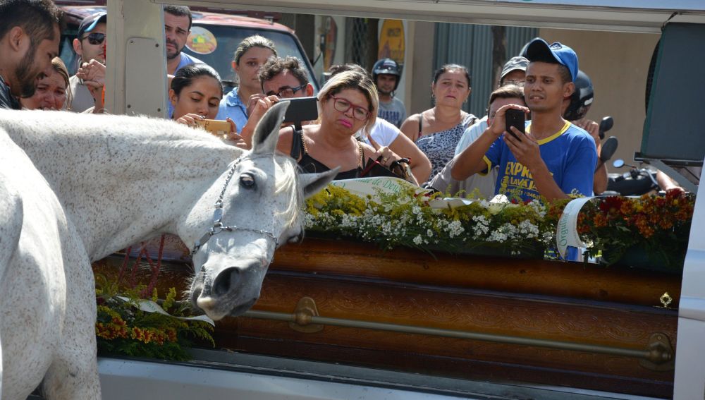 El caballo despidiéndose de su dueño