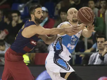 Navarro, ante Dulkys Navarro, ante Dulkys