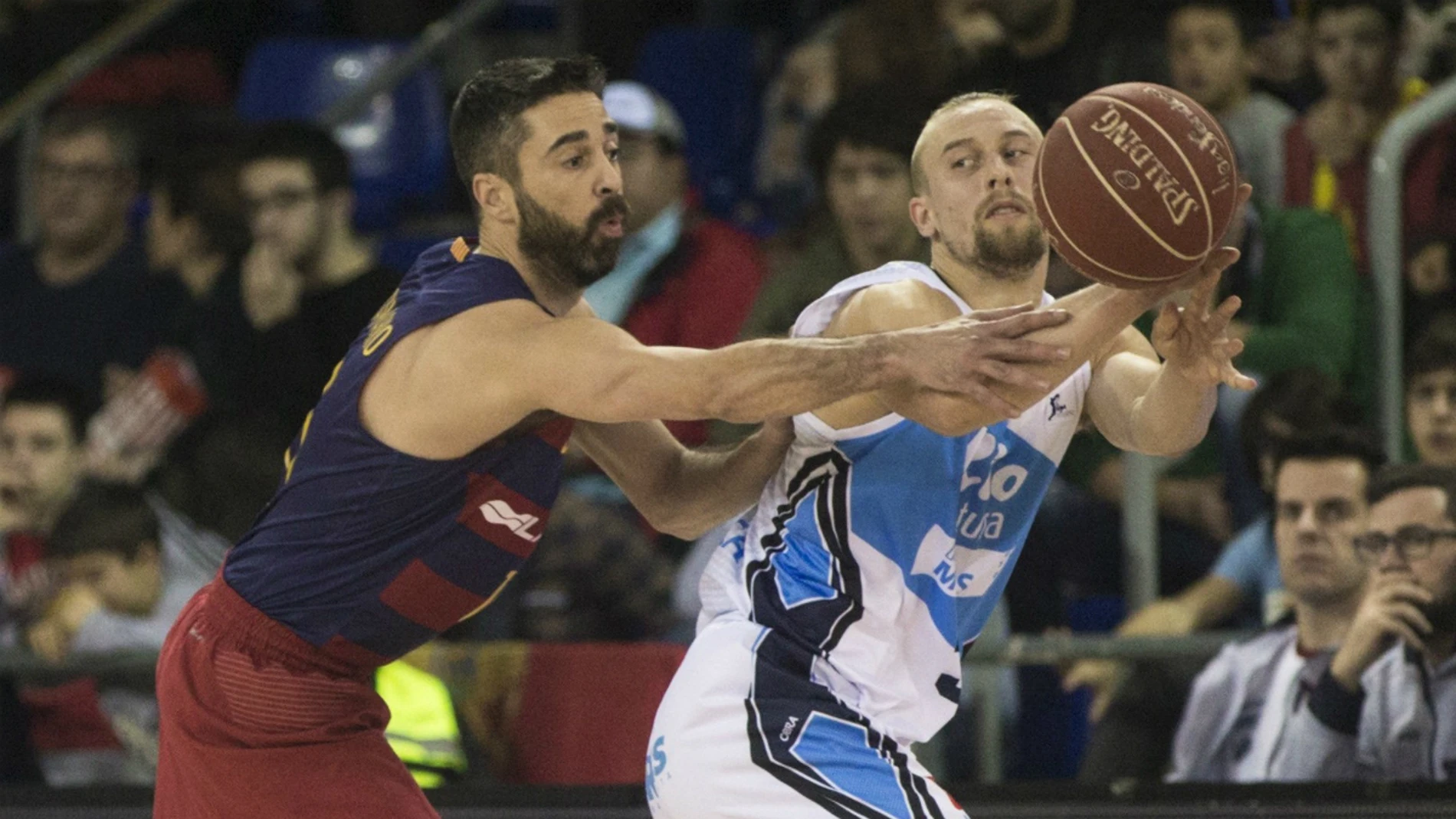 Navarro, ante Dulkys Navarro, ante Dulkys