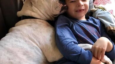 La tierna historia de Connor, un niño enfermo que no puede hablar y ha aprendido a comunicarse con su perra sorda