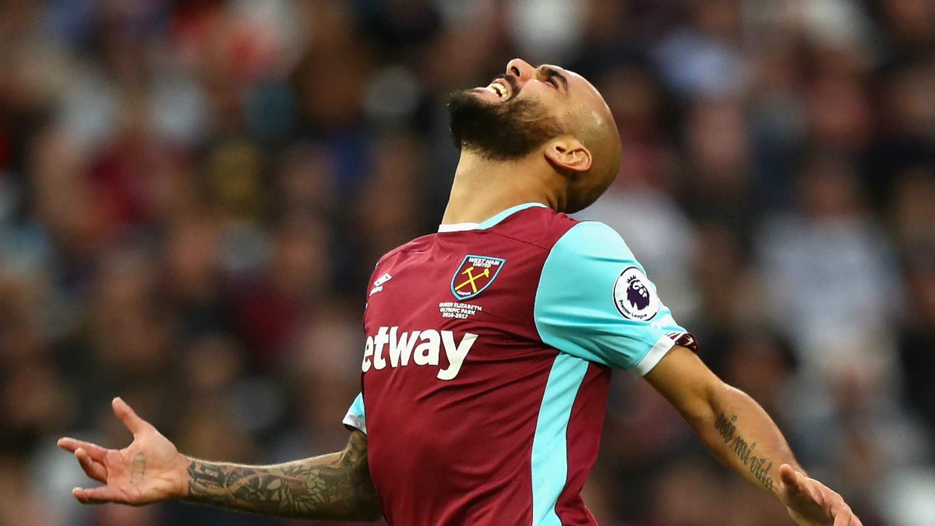 Zaza se lamenta Zaza se lamenta