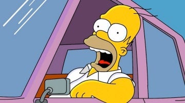 Homer Simpson