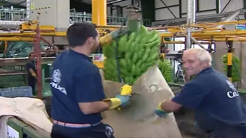 Frame 76.676994 de: Las exportaciones y las ventas de casas comienzan a bajar Frame 76.676994 de: Las exportaciones y las ventas de casas comienzan a bajar