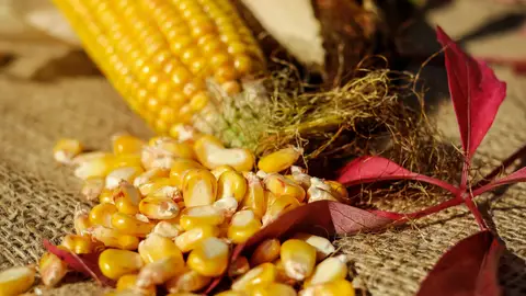 El maíz, de los vegetales que más engordan No es tan ligerito