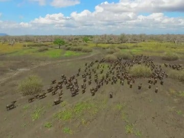 Las imágenes más espectaculares captadas por drones