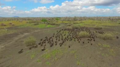 Las imágenes más espectaculares captadas por drones