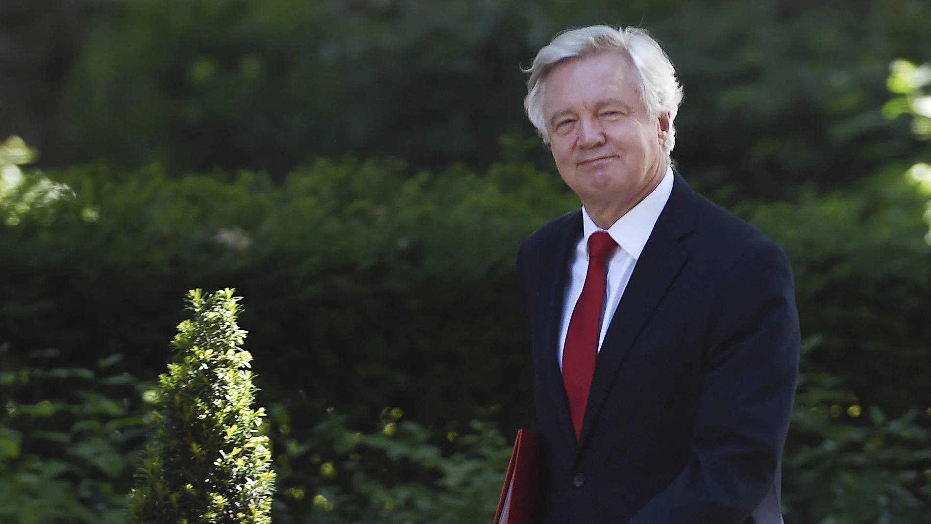 David Davis, ministro británico para la salida del Reino Unido de la Unión Europea David Davis, ministro británico para la salida del Reino Unido de la Unión Europea