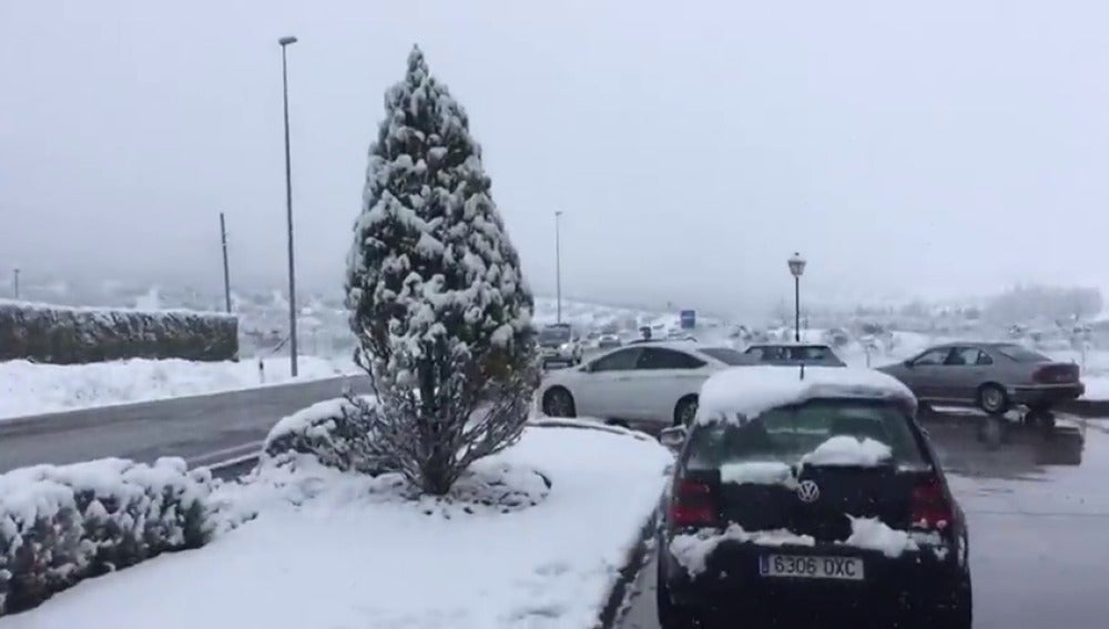 Frame 11.122109 de: Una intensa nevada en Ronda obliga a cerrar colegios, institutos y carreteras