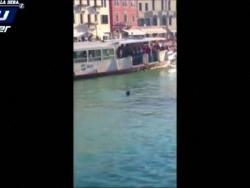Frame 5.499263 de: Investigan un vídeo en el que se ve a un africano ahogándose en el Gran Canal de Venecia