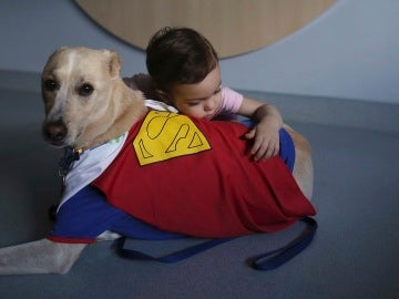 Una niña abraza a un perro vestido de Superman en un hospital