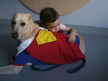 Una niña abraza a un perro vestido de Superman en un hospital Una niña abraza a un perro vestido de Superman en un hospital