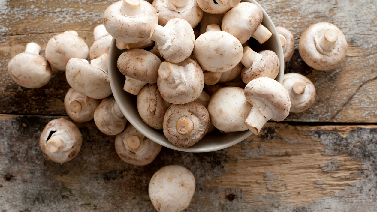 Champi&ntilde;ones
