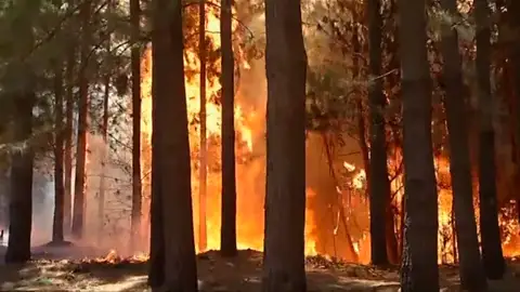 Frame 0.815281 de: El fuego arrasa casi 200.000 hectáreas en Chile Frame 0.815281 de: El fuego arrasa casi 200.000 hectáreas en Chile