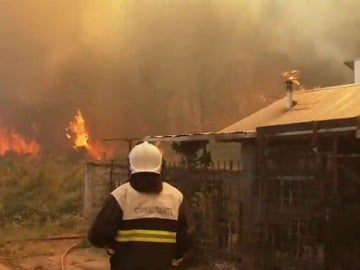Frame 58.890962 de: La UE envía ayuda a Chile para combatir los incendios forestales