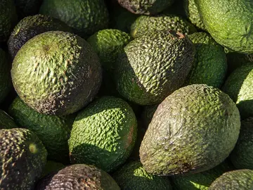 Aguacates Aguacates