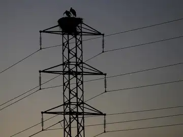 Las eléctricas tendrán que dar tres avisos y esperar hasta cuatro meses antes de cortar la luz Las eléctricas tendrán que dar tres avisos y esperar hasta cuatro meses antes de cortar la luz