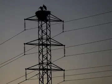 Las eléctricas tendrán que dar tres avisos y esperar hasta cuatro meses antes de cortar la luz Las eléctricas tendrán que dar tres avisos y esperar hasta cuatro meses antes de cortar la luz