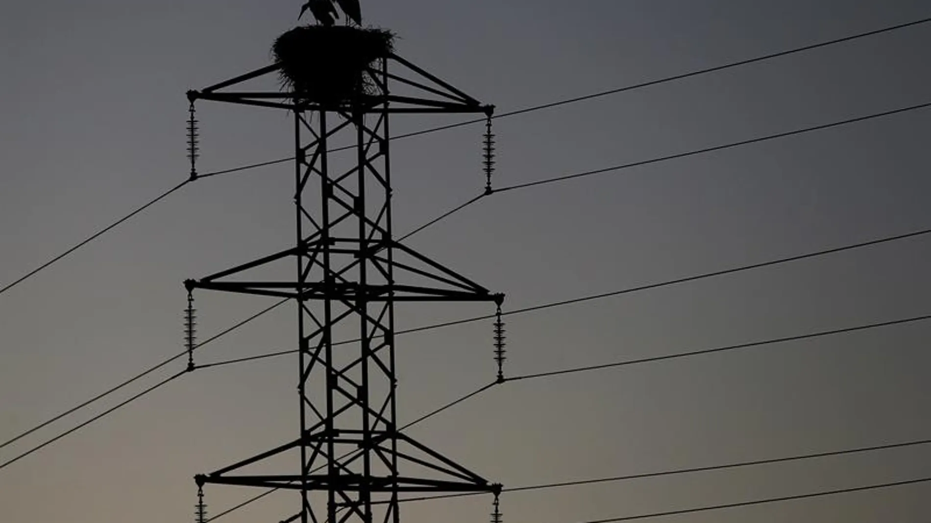 Las eléctricas tendrán que dar tres avisos y esperar hasta cuatro meses antes de cortar la luz Las eléctricas tendrán que dar tres avisos y esperar hasta cuatro meses antes de cortar la luz