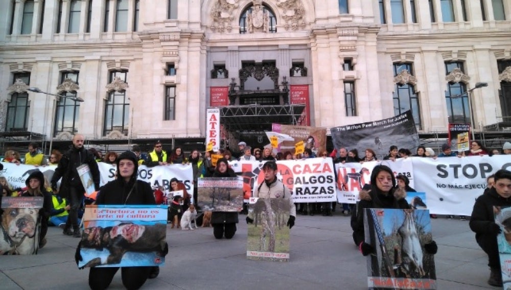 Manifestación contra el maltrato animal en Madrid