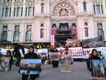 Manifestación contra el maltrato animal en Madrid