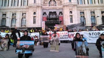 Manifestación contra el maltrato animal en Madrid