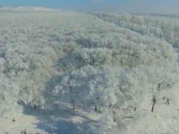 Frame 5.006808 de: Sorprendente paisaje de escarcha sobre los árboles en Mongolia