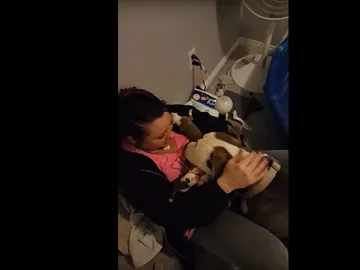 El agradecido gesto de una Pitbull a su dueña El agradecido gesto de una Pitbull a su dueña