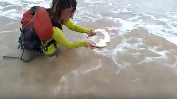 Una mujer intenta coger a un tiburón