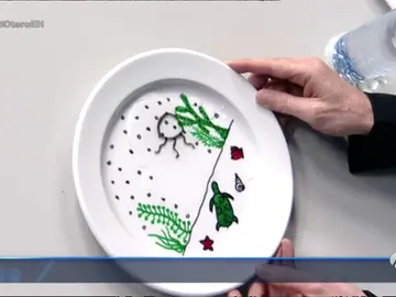 Frame 190.58 de: Marron nos enseña cómo hacer dibujos animados cientÃficos Frame 190.58 de: Marron nos enseña cómo hacer dibujos animados cientÃficos