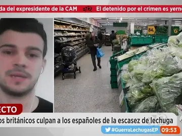 Frame 133.759999 de: lechugas Frame 133.759999 de: lechugas