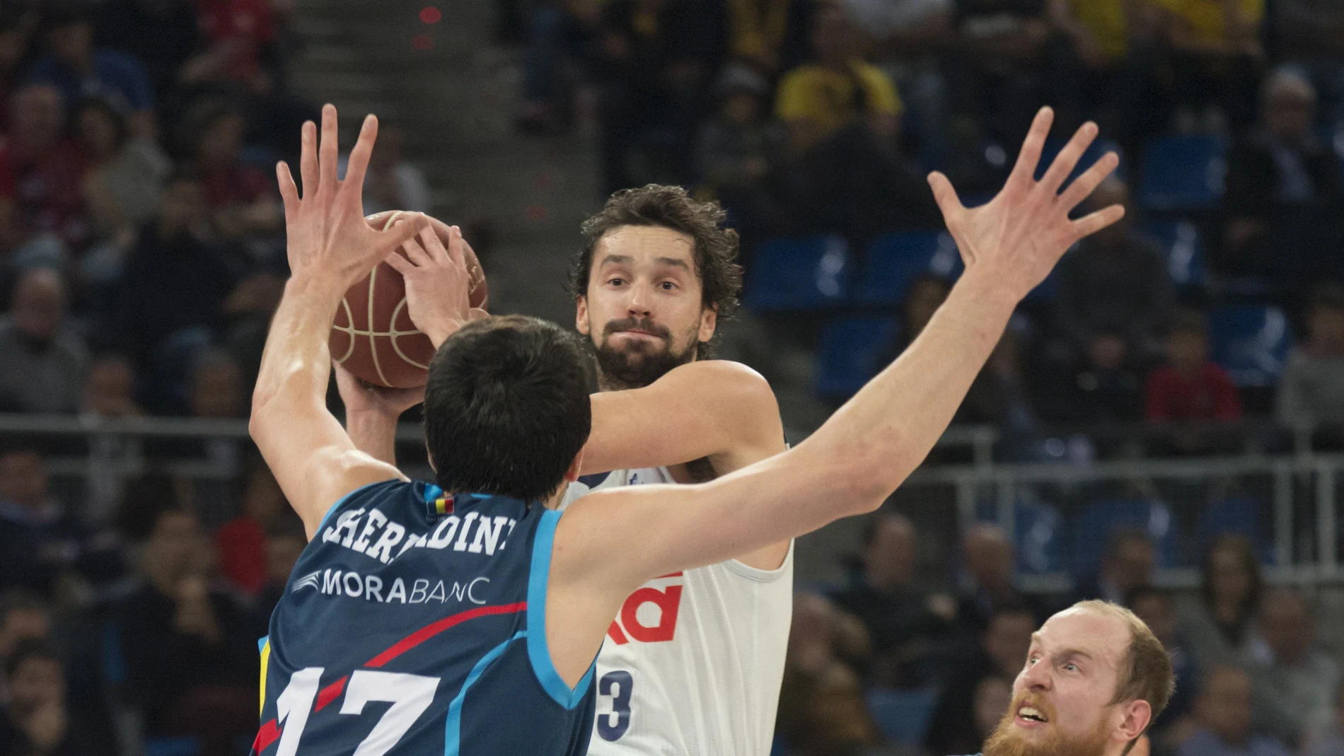 Sergio Llull penetra a canasta anta la defensa andorrana Sergio Llull penetra a canasta anta la defensa andorrana