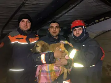 Los bomberos junto al perro rescatado Los bomberos junto al perro rescatado