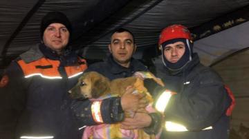 Los bomberos junto al perro rescatado