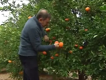 Frame 39.115834 de: Varios trabajadores opinan sobre si es lógico jubilarse a la misma edad en todos los sectores Frame 39.115834 de: Varios trabajadores opinan sobre si es lógico jubilarse a la misma edad en todos los sectores