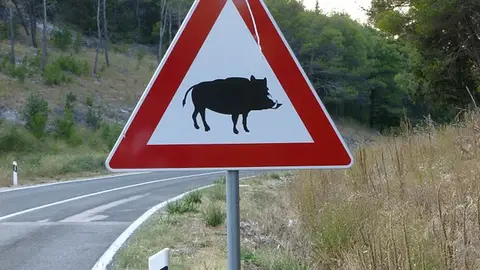 Señal peligro Jabalíes Señal peligro Jabalíes