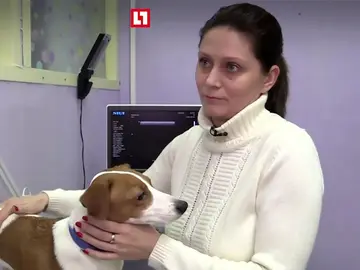 La dueña junto al perro La dueña junto al perro