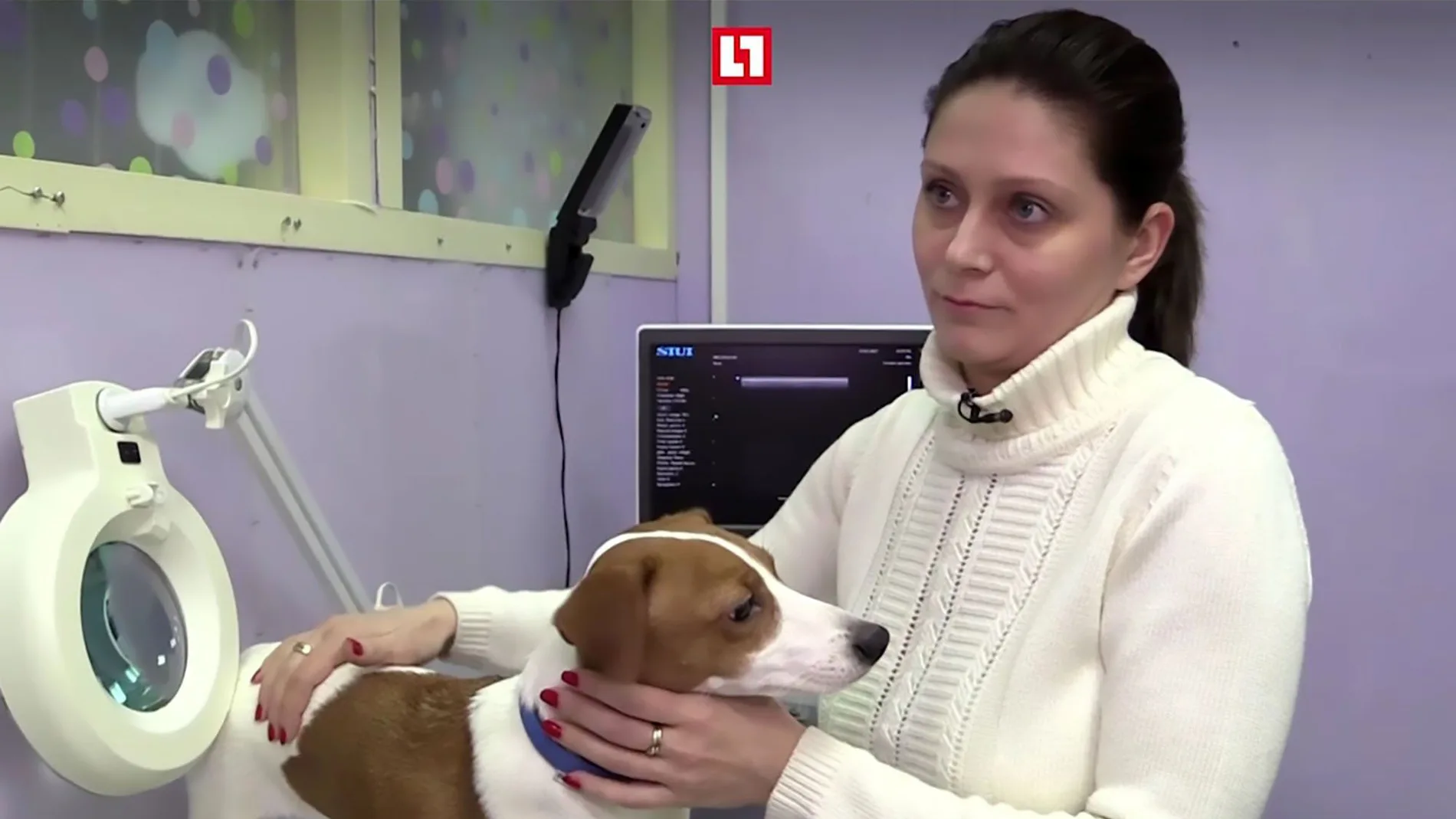 La dueña junto al perro La dueña junto al perro