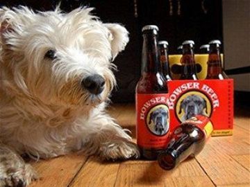 Mascota con una caja de cerveza para perros 