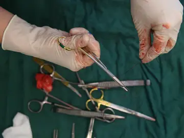 Veterinario detenido Veterinario detenido