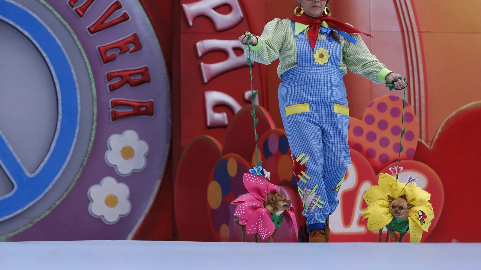 Manolito y Lupita, los ganadores del carnaval canino Manolito y Lupita, los ganadores del carnaval canino