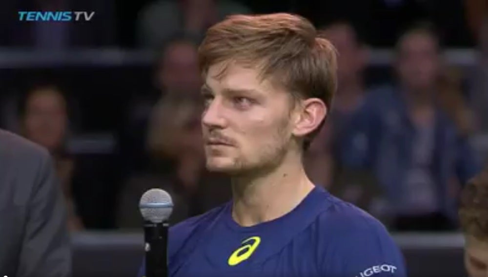 David Goffin, tenista