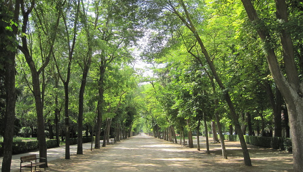 Paseo de la Isla de Burgos