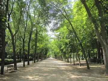 Paseo de la Isla de Burgos Paseo de la Isla de Burgos